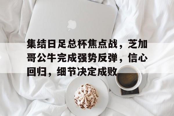 集结日足总杯焦点战，芝加哥公牛完成强势反弹，信心回归，细节决定成败的简单介绍